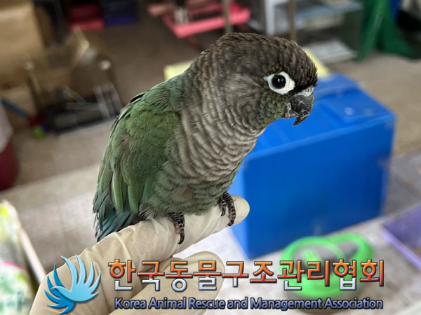 한국동물구조관리협회_441382202300511